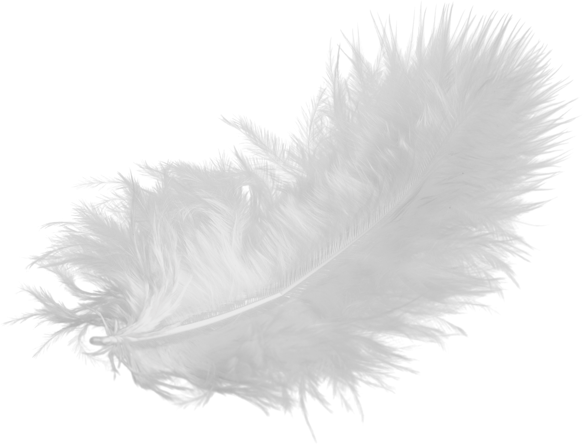 White Feather, Isolated